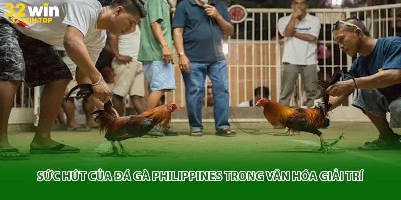 Đá gà philippines